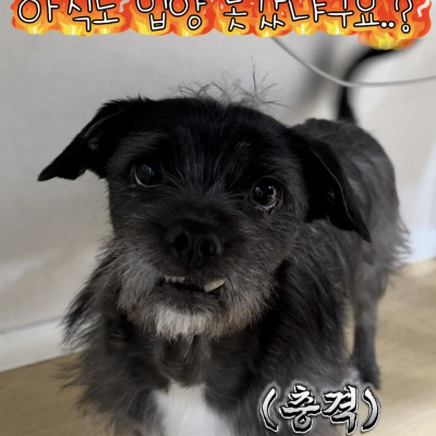 믿고싶지않은 현실...!!!